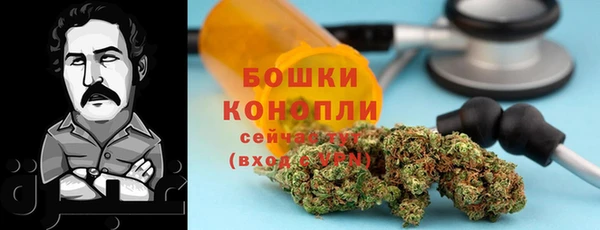 PSILOCYBIN Балабаново