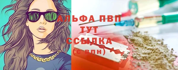 a pvp Белокуриха