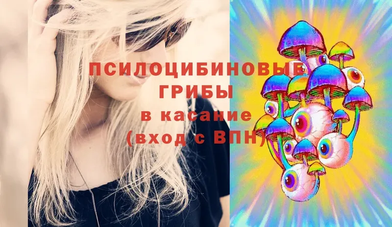 Галлюциногенные грибы Psilocybe  blacksprut как зайти  Котово 